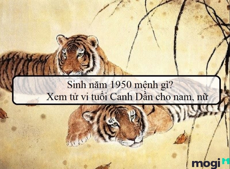 Sinh năm 1950 tuổi g0ì? Luận giải tử vi của Canh Dần sinh năm 1950