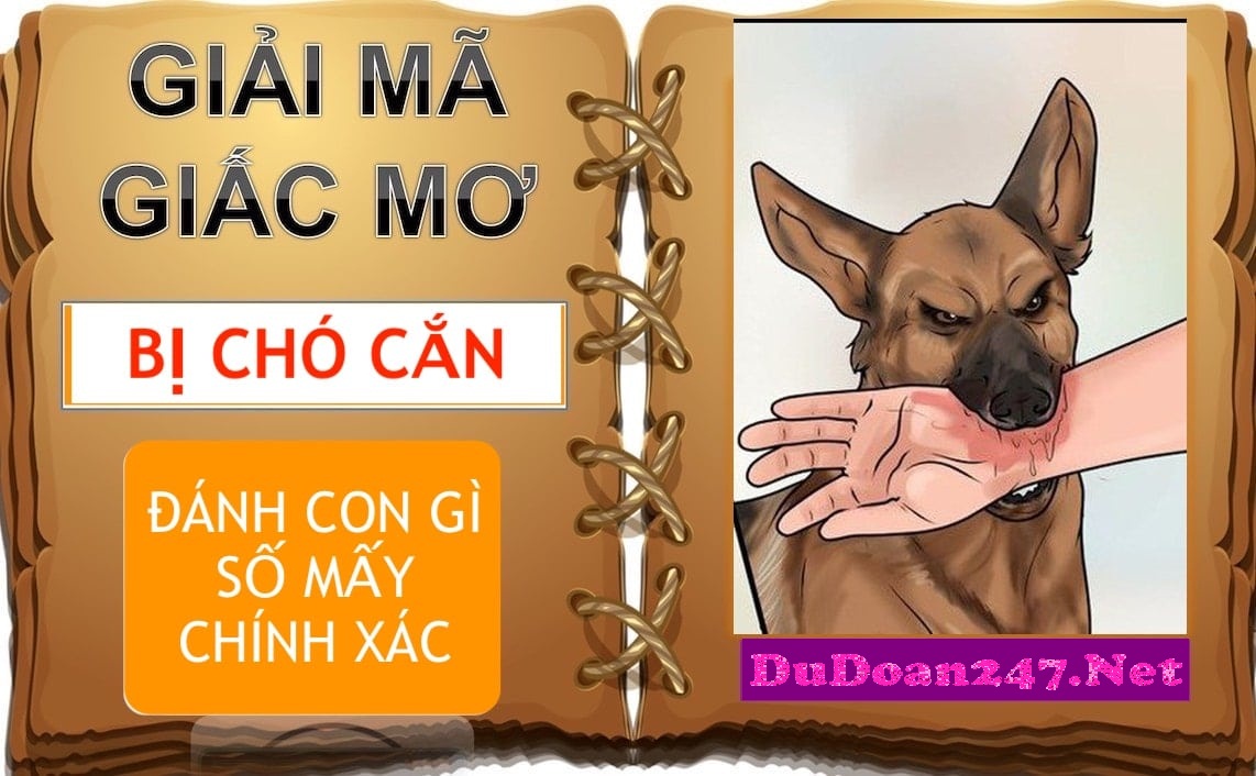 Nằm mơ thấy chó cắn đánh con gì ? Mơ bị chó cắn tốt hay xấu?