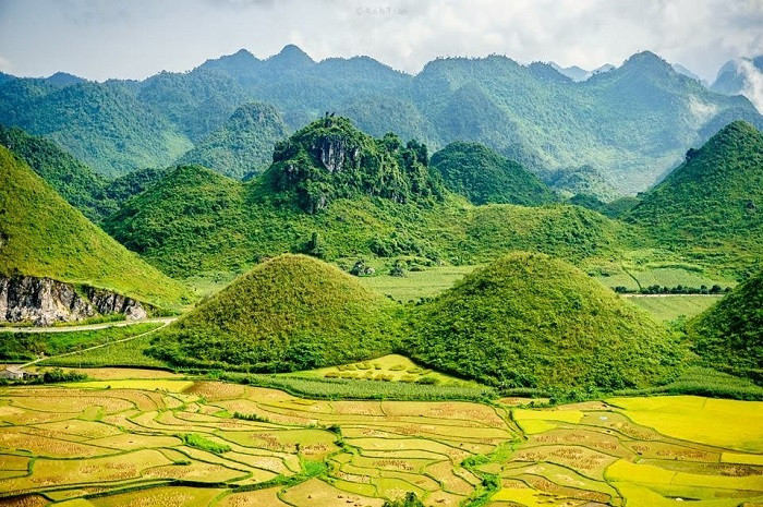 Nắm trong tay TOP 10 các địa điểm du lịch Hà Giang độc đáo nhất