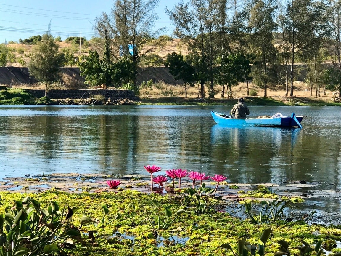 Du lịch Phan Thiết: Cẩm nang từ A đến Z