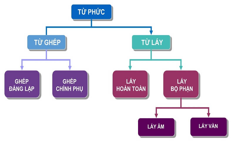 Từ đơn là gì? Từ phức là gì? Phân biệt với từ ghép