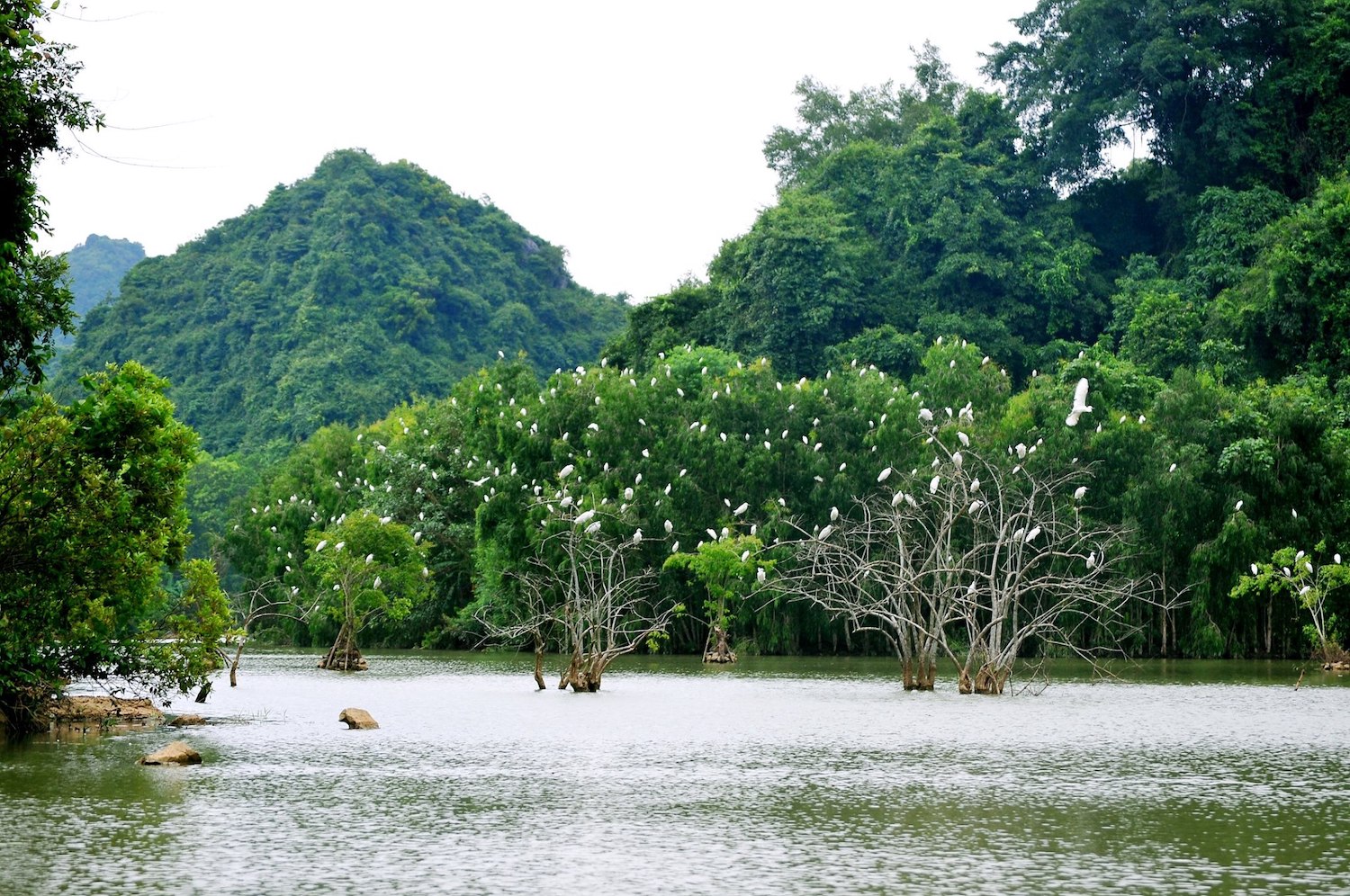 Du lịch Ninh Bình: Cẩm nang từ A đến Z (Update thông tin mới nhất 2024)