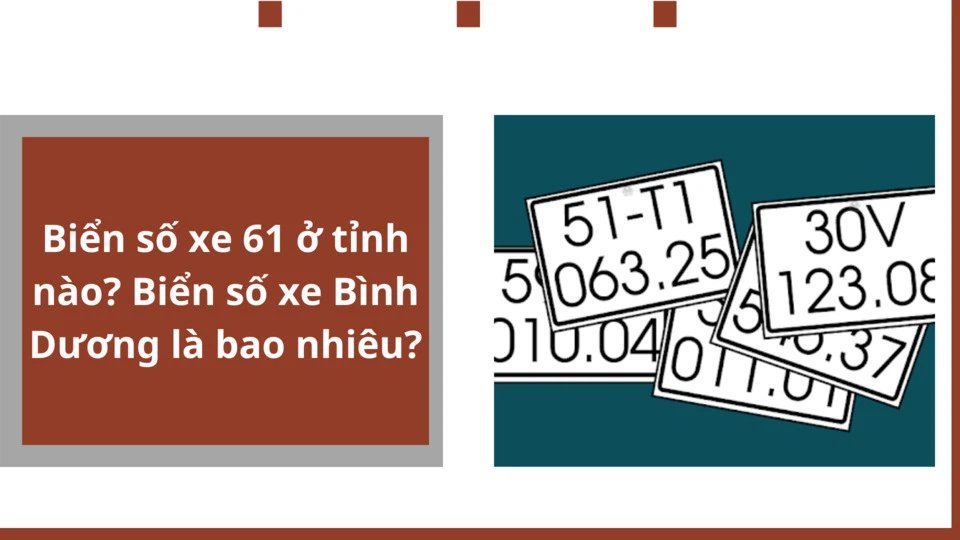 61 là tỉnh nào, mã biển số xe theo từng khu vực và cách đăng ký biển số xe tại Bình Dương