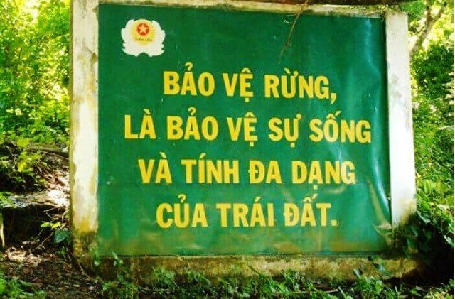 Bảo vệ rừng – lá chắn tốt trong phòng chống thiên tai