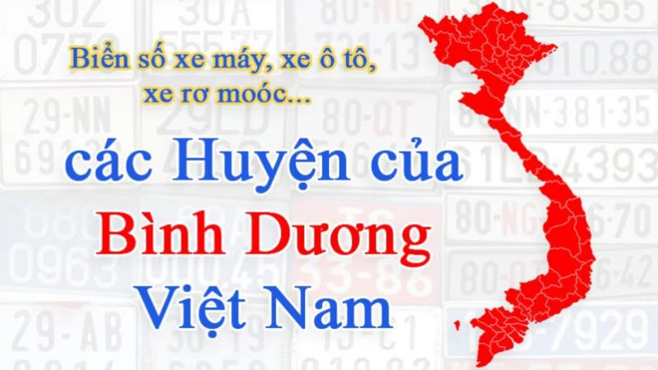 61 là tỉnh nào, mã biển số xe theo từng khu vực và cách đăng ký biển số xe tại Bình Dương