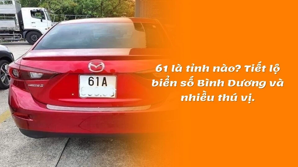 61 là tỉnh nào, mã biển số xe theo từng khu vực và cách đăng ký biển số xe tại Bình Dương