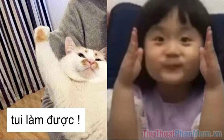 Tổng hợp những hình ảnh meme vui vẻ giơ tay