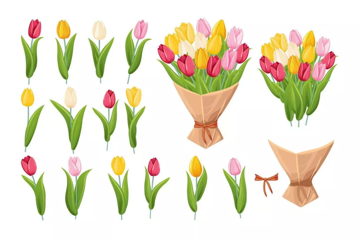 Hướng dẫn vẽ hoa tulip và mẫu tranh hoa tulip đẹp